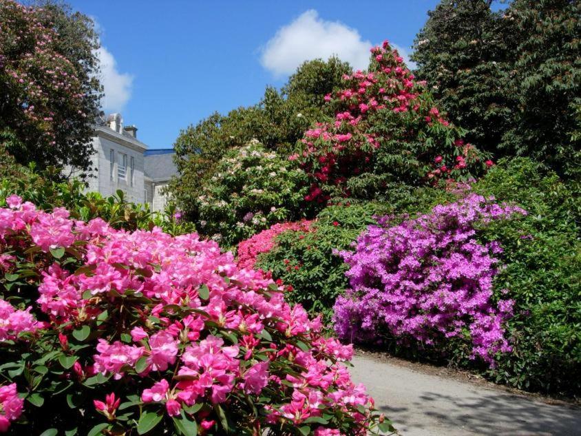 Glasney Rooms, University Campus Penryn Falmouth Luaran gambar